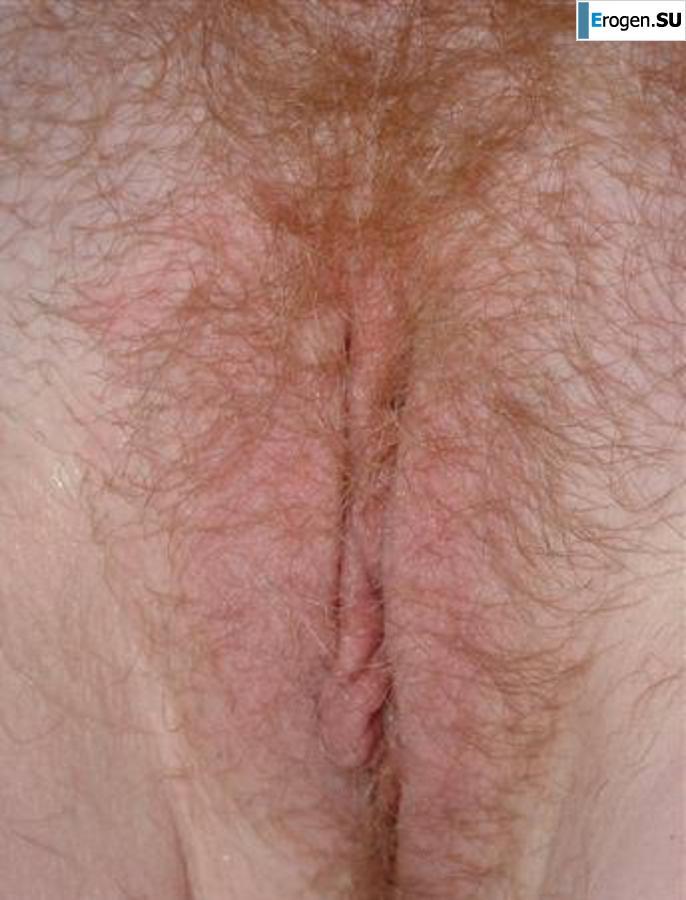 Солянка. Часть 24. Фото 39