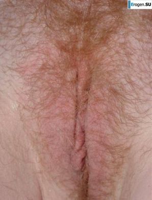 Солянка. Часть 24. Эскиз 39