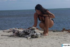 Где-то в Южной Америке. Эскиз 5