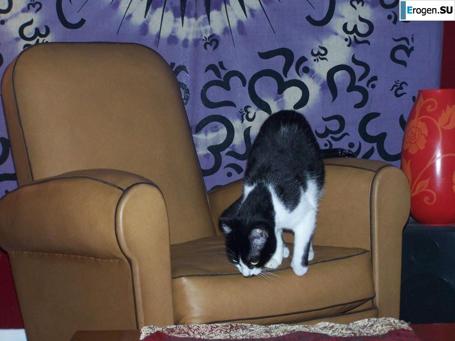 Amanda. Part 8. Photo 27