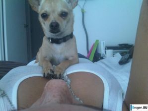 Mina Stefan. Part 8. Thumb 53