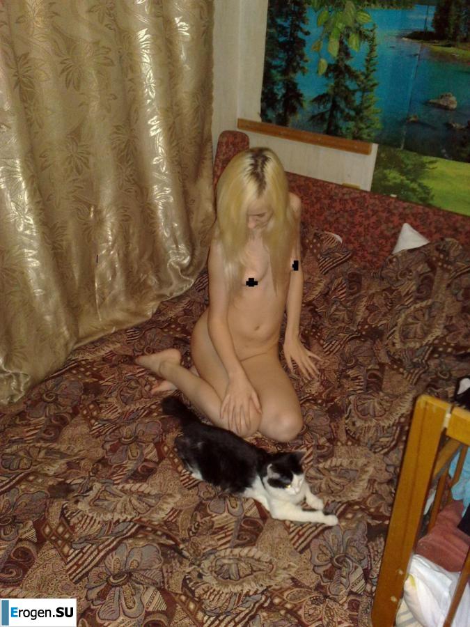 Dedicated to World Kote Day. Photo 13