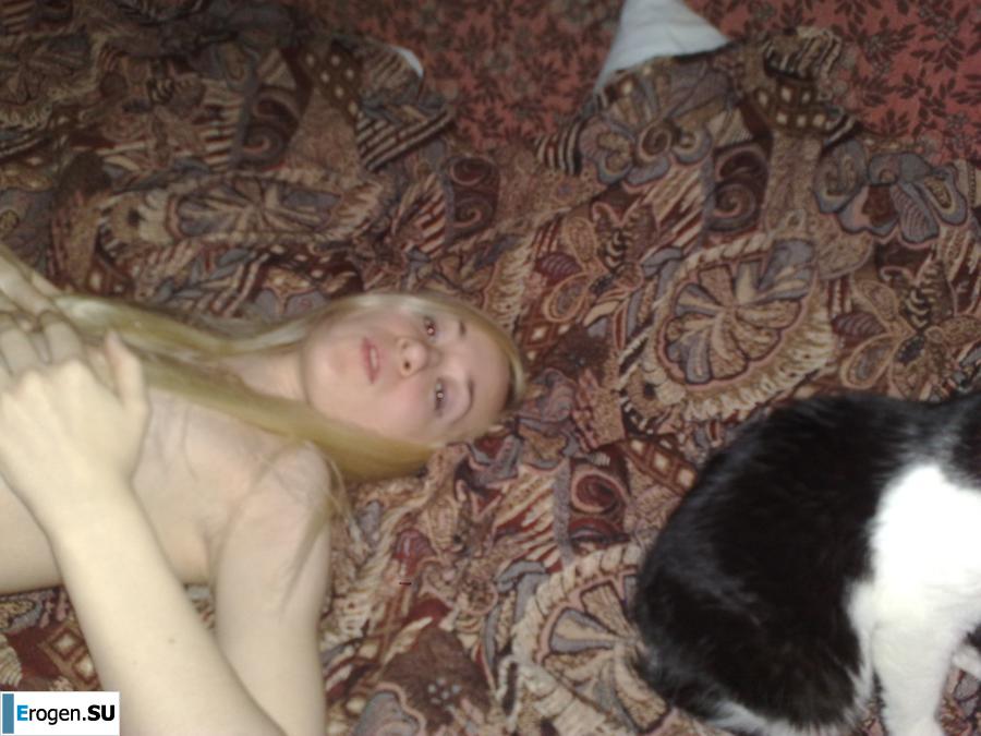 Dedicated to World Kote Day. Photo 18