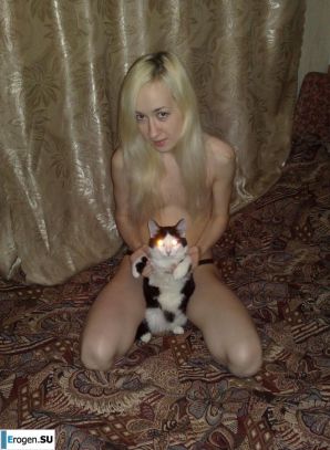 Dedicated to World Kote Day. Thumb 5