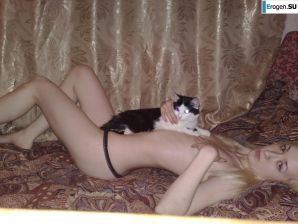 Dedicated to World Kote Day. Thumb 7