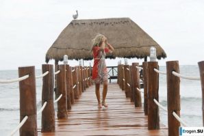 Tanned in the tropics. Part 4. Thumb 5