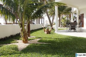 Tanned in the tropics. Part 5. Thumb 50