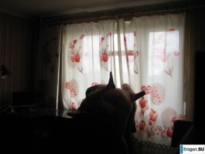 Home photos of a Ukrainian girl. Part 4. Thumb 28