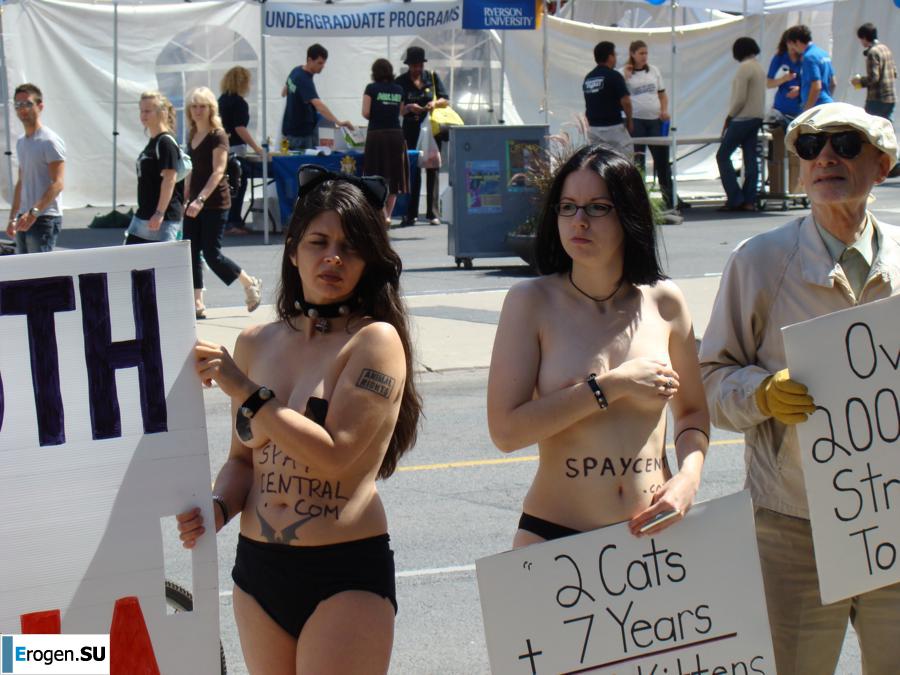 Обнажения в знак протеста. Часть 6. Фото 4