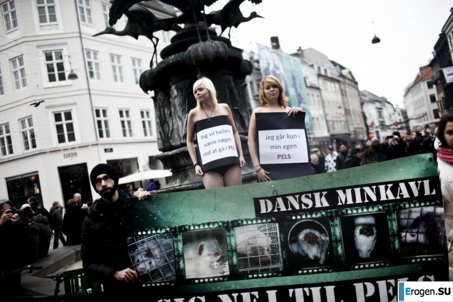 Обнажения в знак протеста. Часть 6. Фото 40