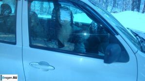 simple but sexy couple. Part 4. Thumb 32