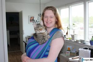 Red and bald. Family album. Thumb 15