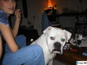 Thin European at sea. Part 6. Thumb 29