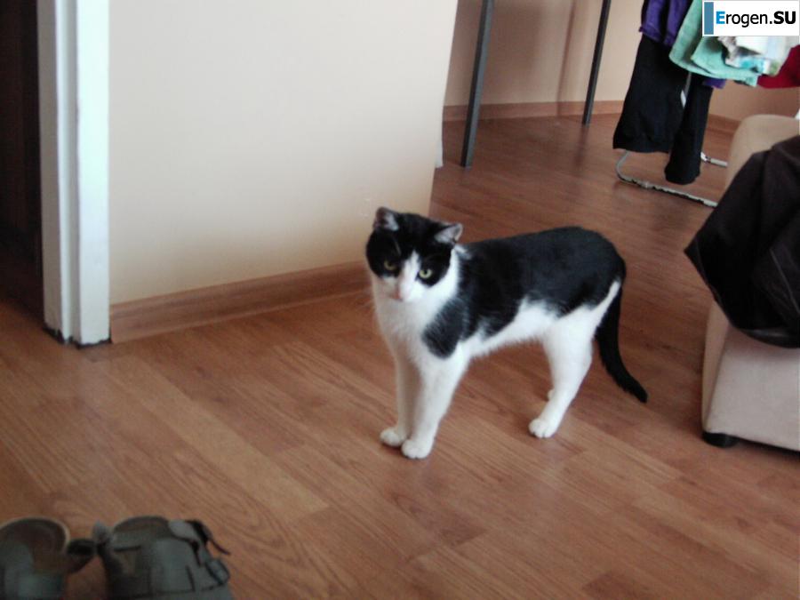 Просто красивая девушка. Часть 5. Фото 54