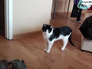 Just a beautiful girl. Part 5. Thumb 54