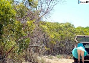 засветы на ветру. Эскиз 18