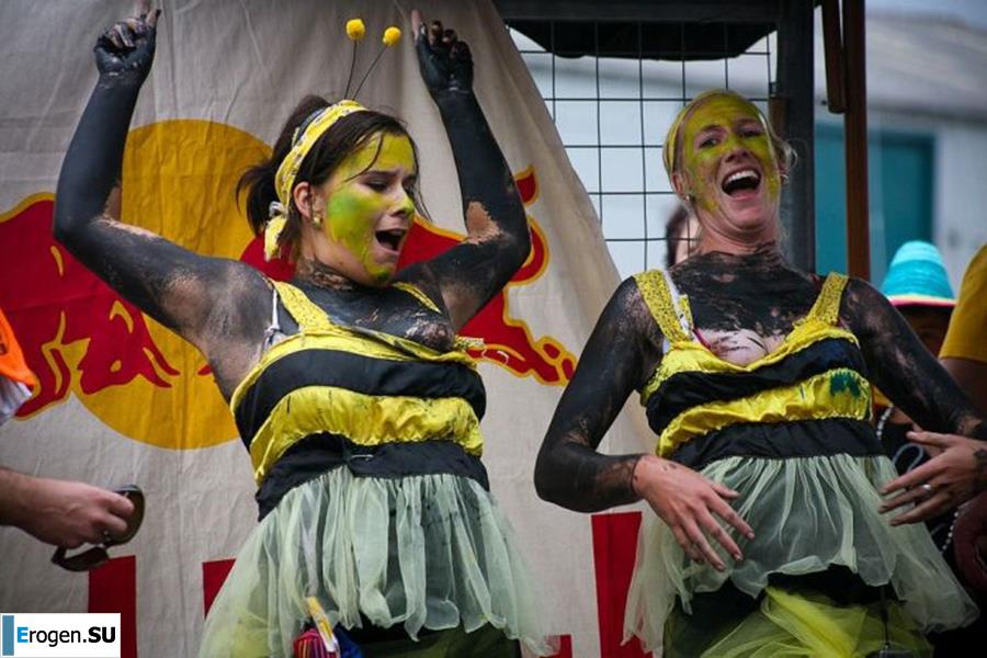 carnival in New Zealand. Photo 3