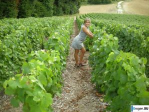 Beautiful Victoria. Part 8. Thumb 34