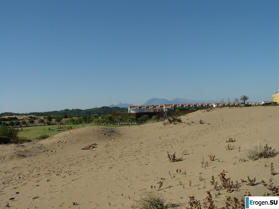 Girlfriend with big nipples. Photo 32