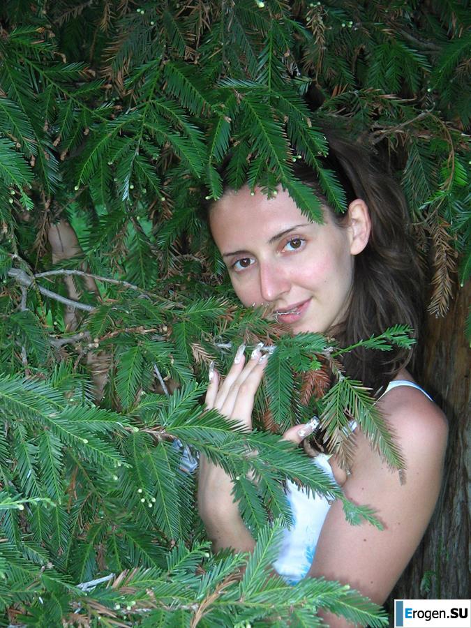 Wedding, pregnancy, carpet. Photo 17