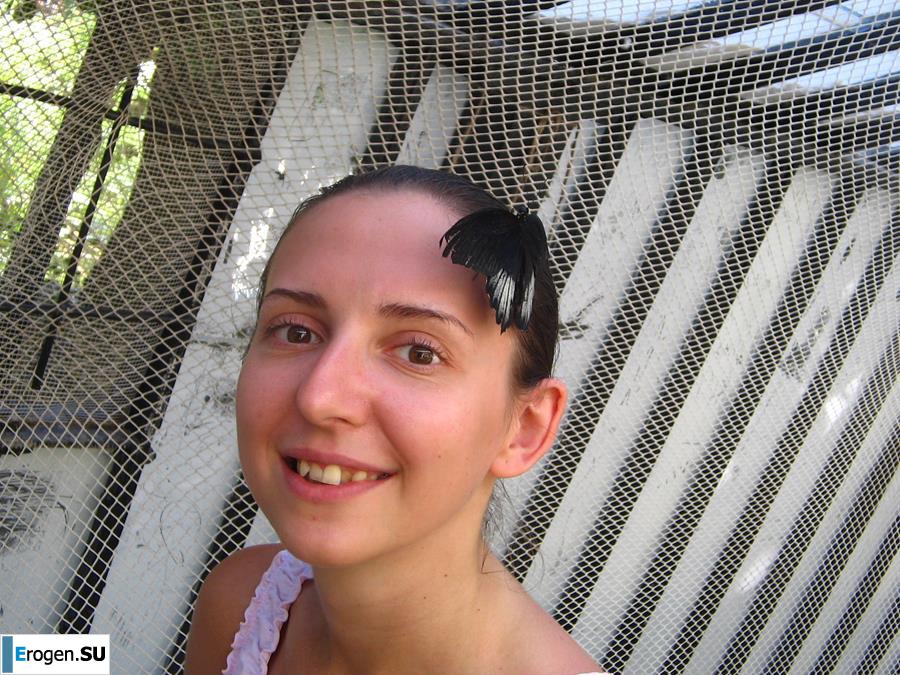 Wedding, pregnancy, carpet. Photo 28