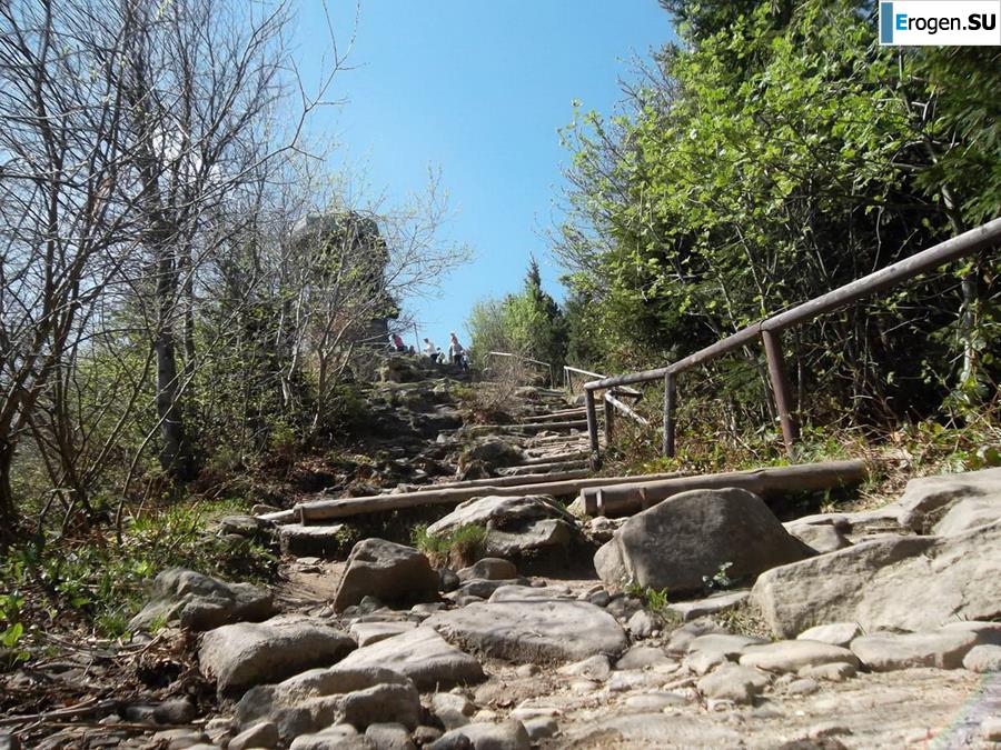 Busty and the Bearded Man. Part 2. Photo 16