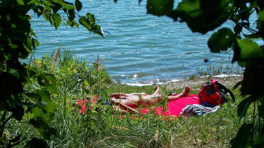 Мохнатка загорает. Часть 2. Фото 16