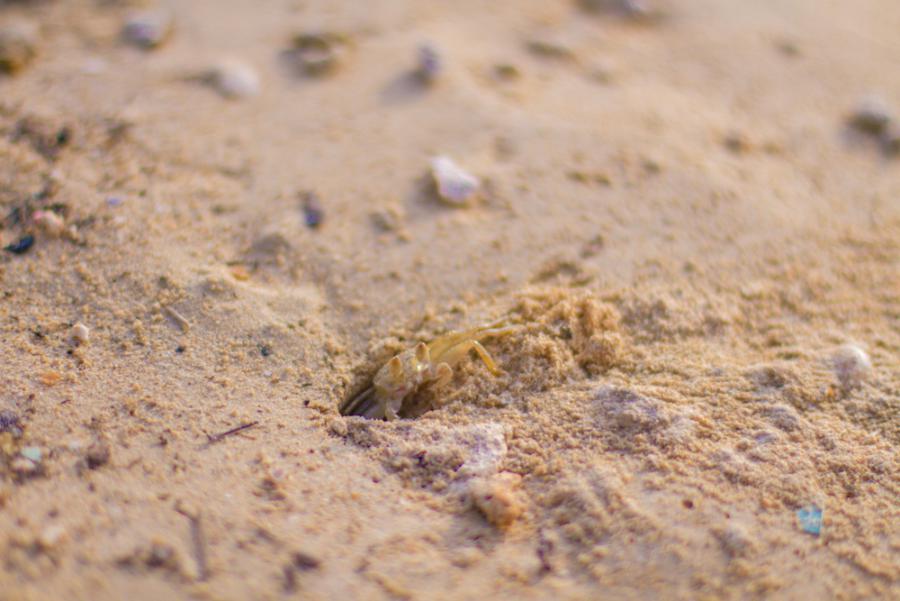 На пляже. Фото 36