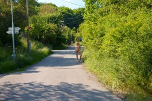 Эгсби-чешка. Часть 2. Эскиз 7