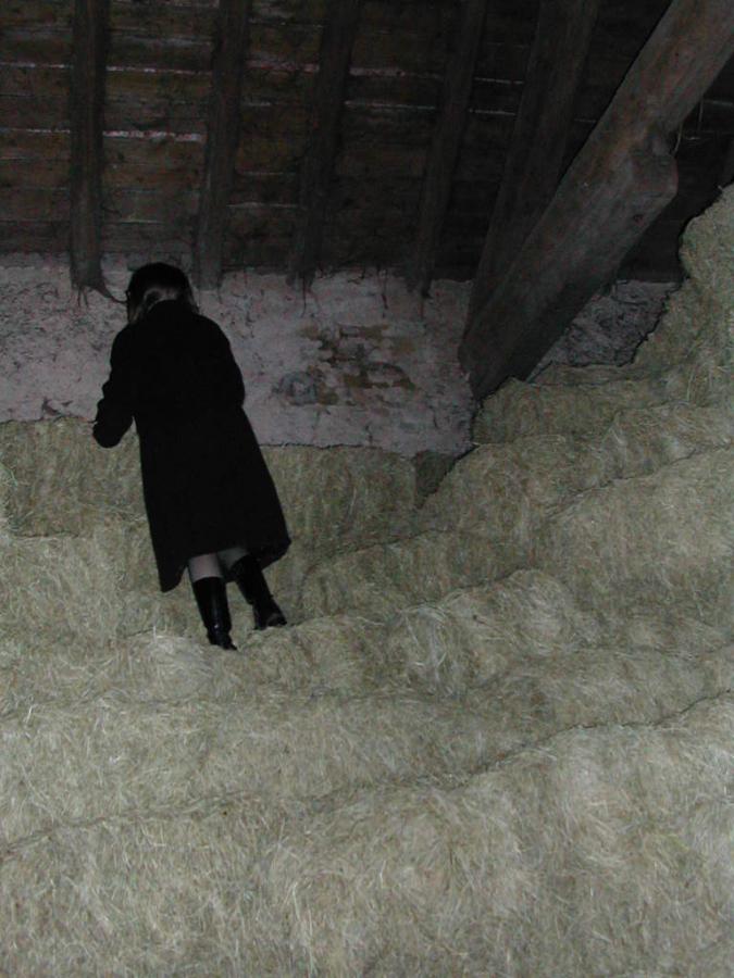 Большой французский архив. Часть 3. Фото 35