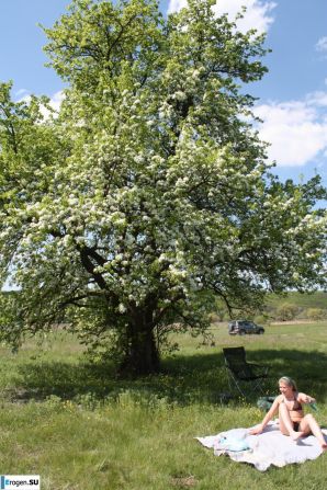 Everything for a picnic. Thumb 7