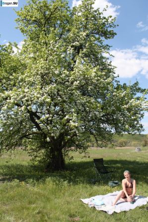 Everything for a picnic. Thumb 8