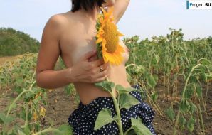 SUNFLOWERS. Thumb 10