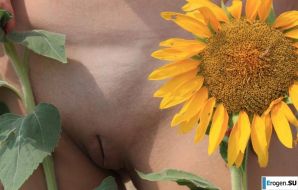 SUNFLOWERS. Thumb 6