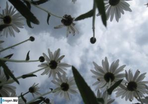 Ночные игры с воском. Эскиз 9