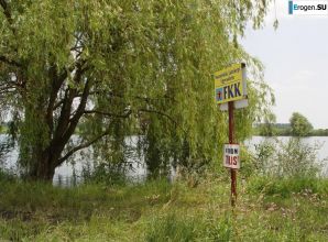 на природе с компанией. Эскиз 13