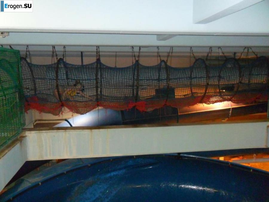 Resting beautifully. Photo 4