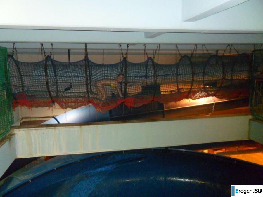 Resting beautifully. Photo 5