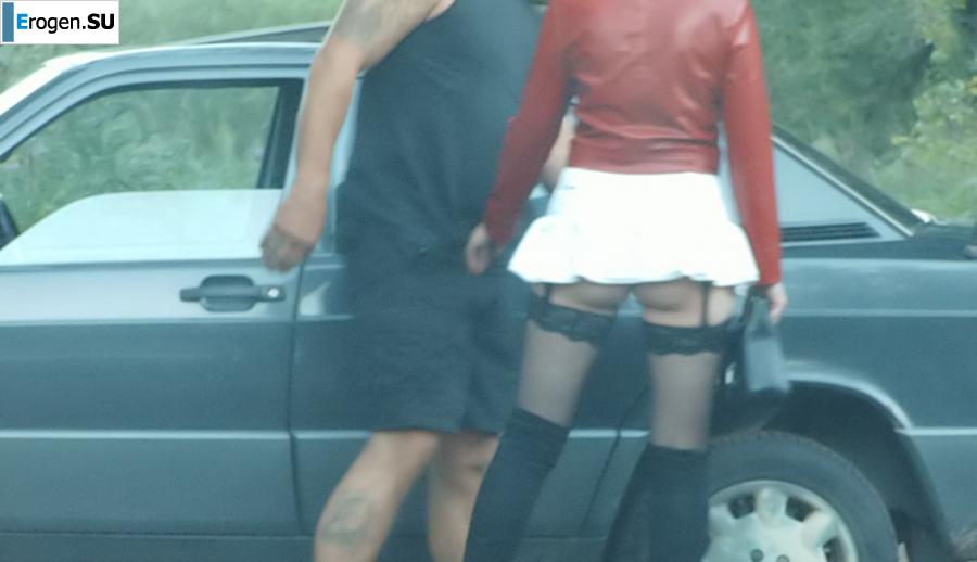 Roadside Butterfly. Photo 11