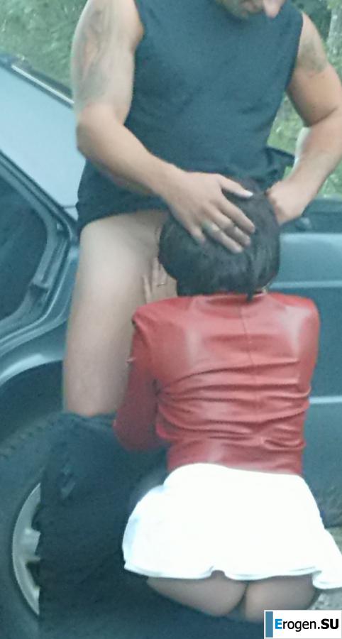 Roadside Butterfly. Photo 15