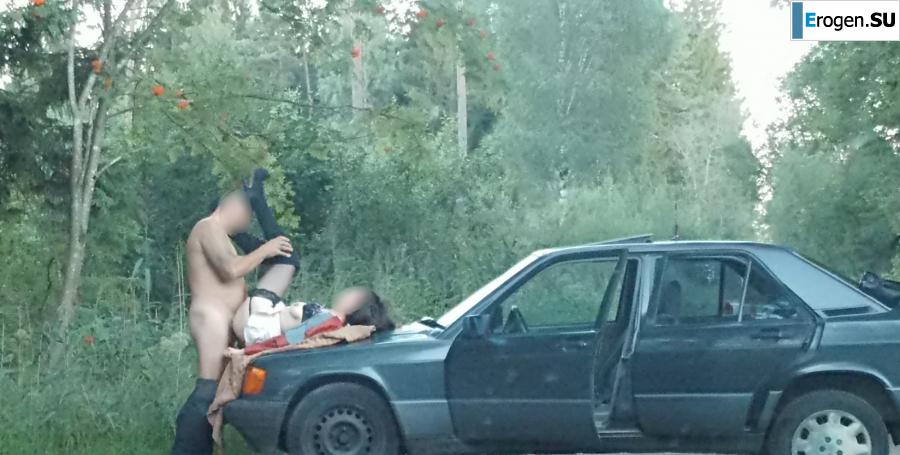 Roadside Butterfly. Photo 25