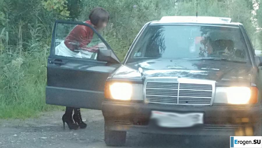 Roadside Butterfly. Photo 7