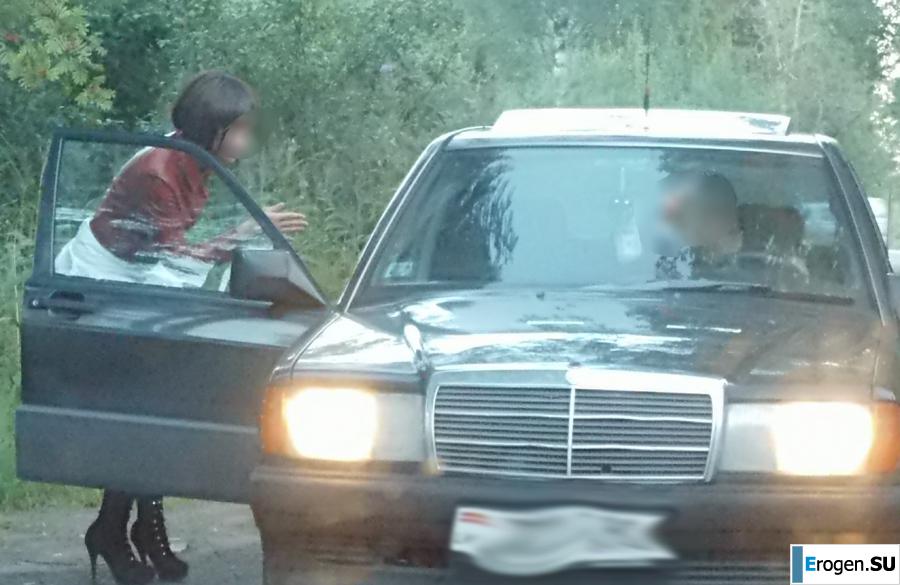 Roadside Butterfly. Photo 8