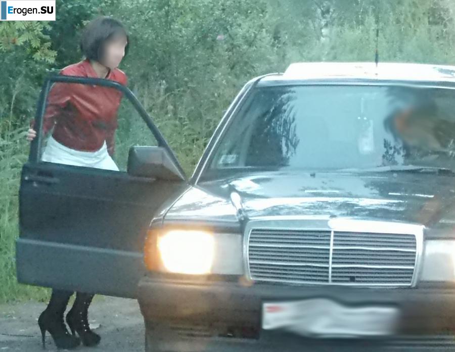 Roadside Butterfly. Photo 9