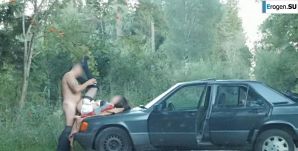 Roadside Butterfly. Thumb 25