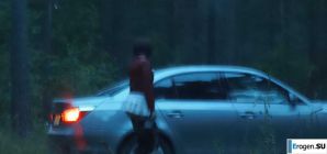 Roadside Butterfly. Thumb 28