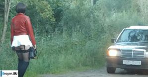 Roadside Butterfly. Thumb 5