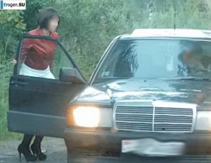 Roadside Butterfly. Thumb 9