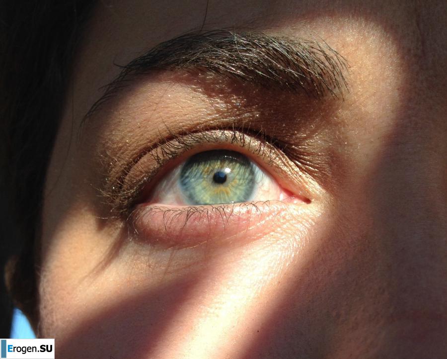 Addition XXX. Photo 16