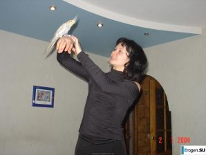 sex games. Part 2. Thumb 34